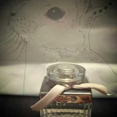 ゜*クロエ**chloe* * EAU DE PARFUM * * 香水*゜のサムネイル