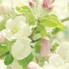 モッさん家(o^^o)様専用のサムネイル