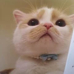 みい様専用のサムネイル
