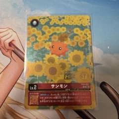 デジカ　デジモンカード　サンモン　超テイマー　FINALIST プロモ デジカ デジモンカード サンモン 超テイマー FINALIST プロモ - メルカリ