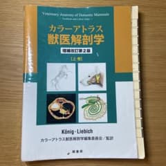 カラーアトラス獣医解剖学 増強改訂第2版【上巻】 - メルカリ
