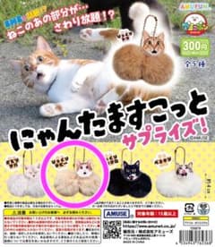 にゃんたますこっとサプライズ びっくりタビーのサムネイル