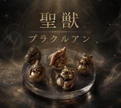 激レア！高級プラクルアン＆呪物おまとめセット！…兼要望用！ プラクルアン セット 貴重 - メルカリ