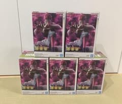 HUNTER×HUNTER Memorable Saga 히소카 5체 세트
