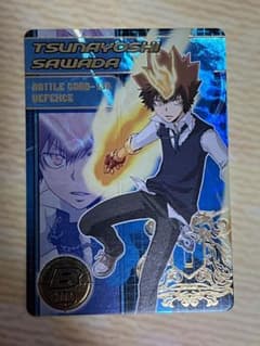 家庭教師ヒットマンREBORN 沢田綱吉 サザンクロスバトル - メルカリ