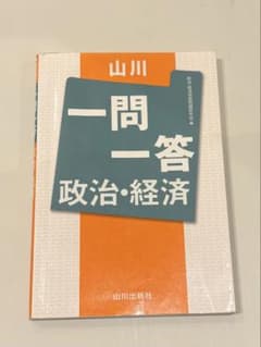 山川一問一答　政治・経済のサムネイル