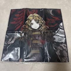 ハリーポッター　ハーマイオニー　タオル
