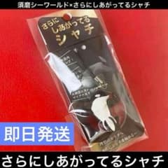 新品】さらにしあがってるシャチ 須磨シーワールド 岩本照 スノーマン