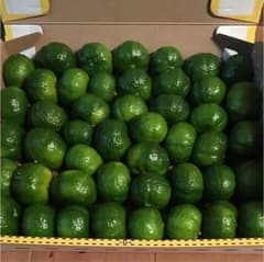 無農薬シークワーサー千葉県産のサムネイル