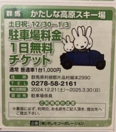 かたしな高原スキー場　土日祝　駐車場一日無料チケットのサムネイル