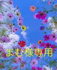 まいりました、先輩 1巻〜9巻のサムネイル