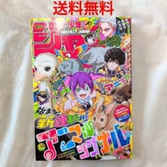 匿名配送】週刊 少年ジャンプ 2026年 28号 6/8 発売【送料無料