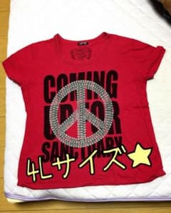 【4Lサイズ】Tシャツのサムネイル