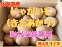 MASAKO様専用】北海道産じゃがいも（きたあかり）3L 10kg - メルカリ
