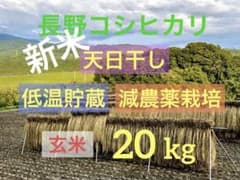 長野コシヒカリ 玄米 20kg 天日干しのサムネイル