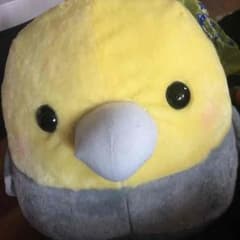 それゆけ！ことり隊 BIGぬいぐるみのサムネイル
