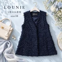 一度のみ着用✨完売　ルーニィ カットジャガードジレ ネイビー 38 M　秋冬春のサムネイル