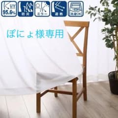 遮熱・保温・防炎　レースカーテン　エコオアシス(100×98×2)のサムネイル