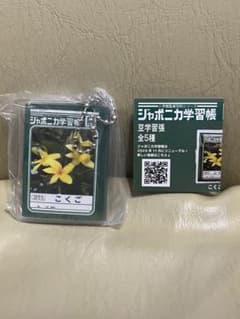 ジャポニカ学習帳 豆学習帳 カプセルトイのサムネイル