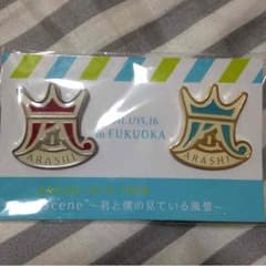 嵐 ピンバッチのサムネイル