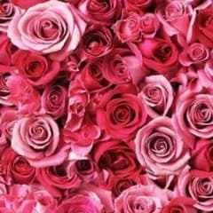 Mikeneko様♡専用ページのサムネイル