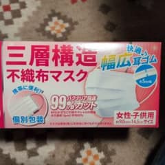 三層構造 不織布マスク 女性・子供用 個別包装　29枚のサムネイル