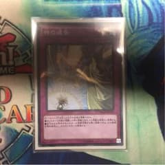 神の通告のサムネイル