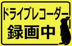 ドライブレコーダー用ステッカー うさぎ 選べる2種のサムネイル