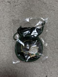 タスク様専用出品 たぬわん2024JEWEL会場別ピンバッジ 衣装キーホルダーのサムネイル