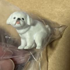 ふんばり〜ぬ3のサムネイル