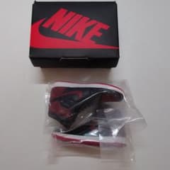 NIKE Air Jordan 1 BLEDのサムネイル