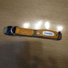 首輪のサムネイル