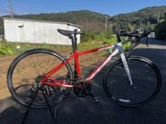 m11548976293_1.jpg?1730624052