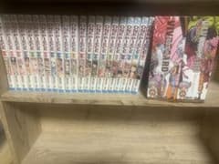 ONE PIECE 81巻〜101巻 セット ビブルカードおまけ付きのサムネイル