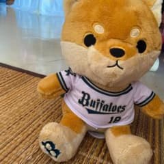 オリックス山本選手柴犬ぬいぐるみのサムネイル