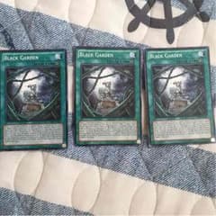 ブラックガーデン 遊戯王のサムネイル