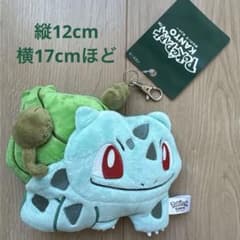 ポケパークカントー PoKePARK KANTO 限定 フシギダネパスケース - メルカリ