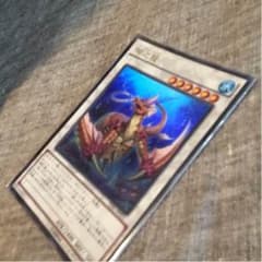 コーラルドラゴンのサムネイル