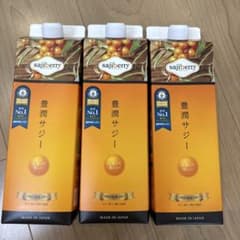 豊潤サジー　３本セット 豊潤サジー 1000ml×2本セット サジージュース【紙パックタイプ】_M327