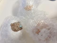 カプセルトイ たまごのふりして 3個セット　ニンゲン　くま　イエティのサムネイル