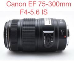 手ブレ補正レンズ Canon EF 75-300mm F4-5.6 IS Canon EF 75-300mm F4-5.6 IS USM 手振れ補正搭載 手ぶれ補正付き