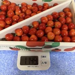 【紅秀峰本日最終】クール便山形県産さくらんぼ 紅秀峰 2Lのサムネイル