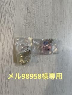 【メル98958様専用】サンリオキャラクターズ クリスタルめじるしアクセサリーのサムネイル