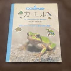 本　カエル　「爬虫・両生類ビギナーズガイド」のサムネイル