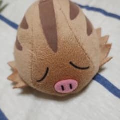 My 포켓몬 컬렉션 우리무 봉제인형 마스코트