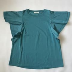 レディース Ｔシャツ anyFAMのサムネイル
