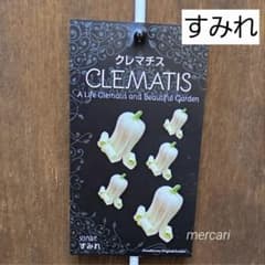 壺型クレマチス 正規品ラベル付き ポット苗 - メルカリ