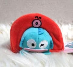 ハンギョドン　KAWAIIキャンプマスコット