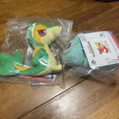 ポケモン ぬいぐるみ ツタージャ フシギダネ 2体セット ポケモン ぬいぐるみ ツタージャ フシギダネ 2体セット - メルカリ