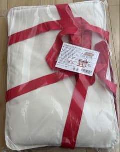 【新品未使用】ロピア LOPIA 保冷バッグ 角型 ピザ2箱収納可 エコバッグのサムネイル